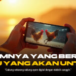 Energi dan Budaya Sabung Ayam: Tradisi, Strategi, dan Dampaknya