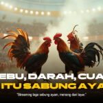 Mengulik Jenis Ayam Birma di Dunia Sabung Ayam SV388