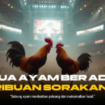 Membongkar Fenomena Sabung Ayam: Budaya, Strategi, dan Kontroversi