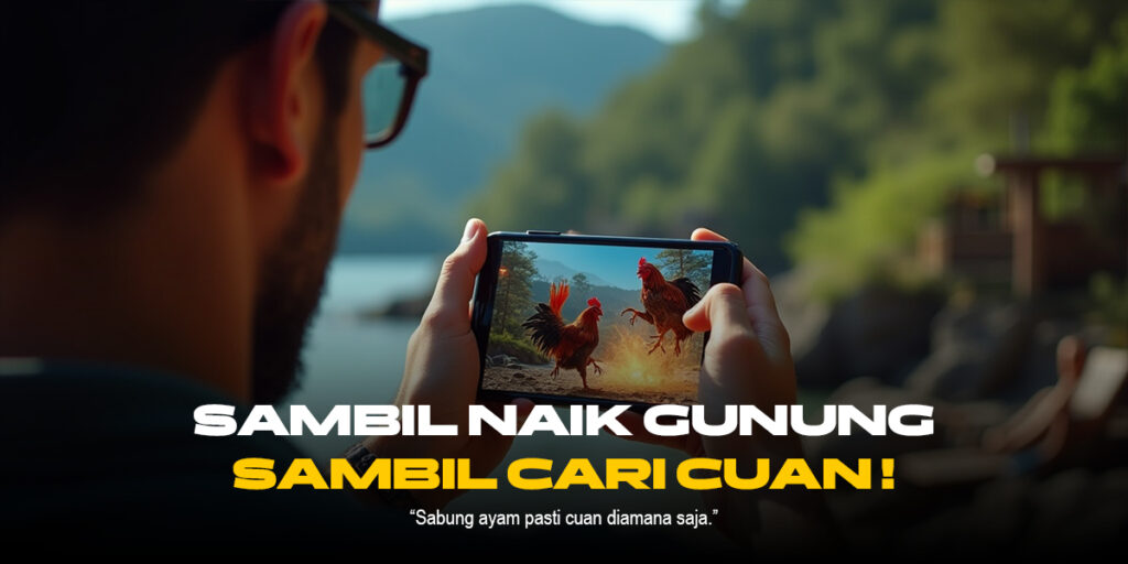 Mengenal Ayam Bangkok Dalam Sabung Ayam SV388