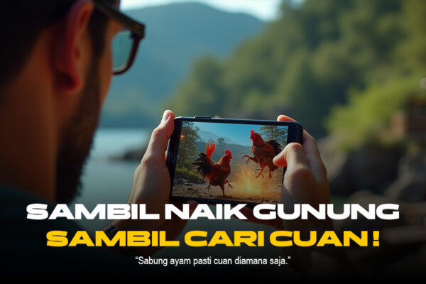 Mengenal Ayam Bangkok Dalam Sabung Ayam SV388