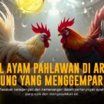 S128 Sabung Ayam: Jenis Ayam, Odds, dan Provider Terpercaya