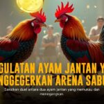 SV388: Reyes Menarik Sabung Ayam Online dengan Odds Terbaik
