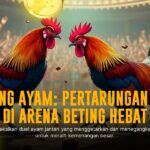 Mengenal Ayam Bangkok: Raja Sabung Ayam dengan Odds Menarik di SV388
