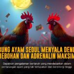 Mengenal Ayam Bangkok, Raja Sabung Ayam dengan Odds Terbaik di SV388