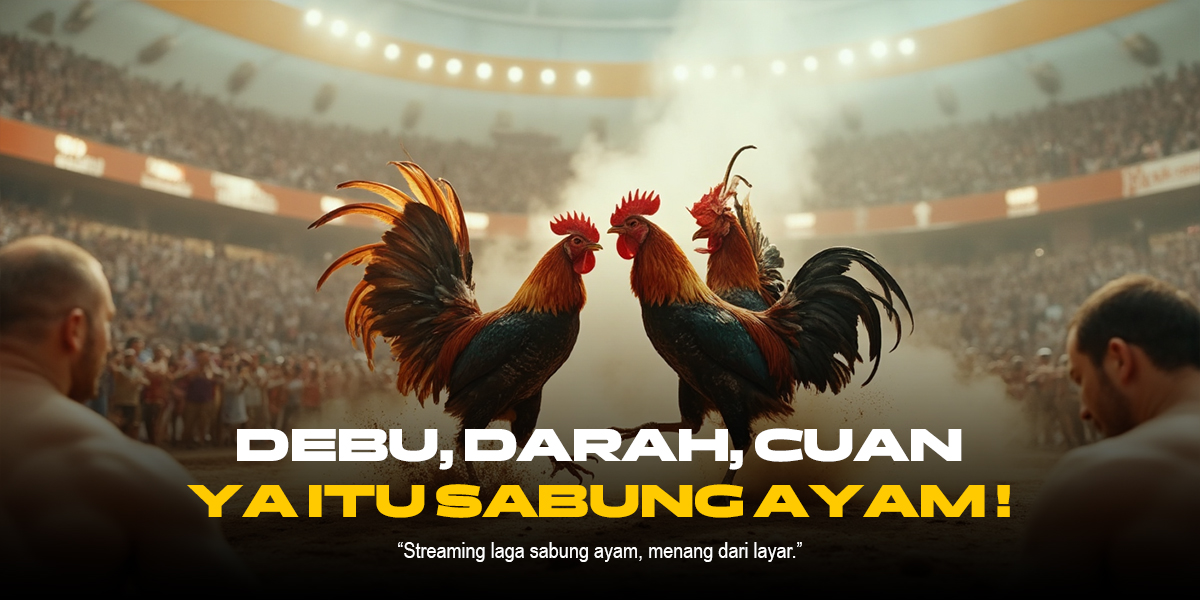 Mengulik Jenis Ayam Birma di Dunia Sabung Ayam SV388