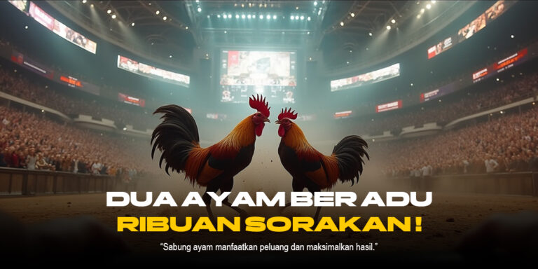 Membongkar Fenomena Sabung Ayam: Budaya, Strategi, dan Kontroversi
