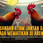 Mengupas Taktik Sabung Ayam SV388 yang Bikin Ketagihan